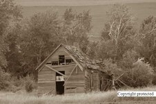 Enlarge photo 83