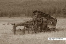 Enlarge photo 85