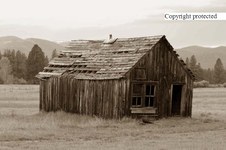 Enlarge photo 86