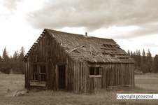 Enlarge photo 87