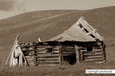 Enlarge photo 89