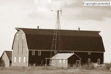 Enlarge photo 95