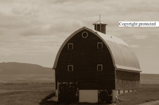 Enlarge photo 93