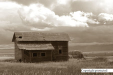 Enlarge photo 96