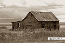Enlarge photo 97