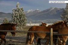 Enlarge photo 17