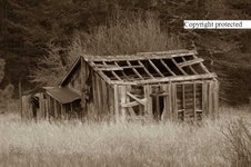 Enlarge photo 99