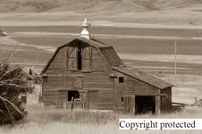 Enlarge photo 104