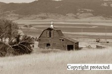Enlarge photo 106
