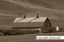 Enlarge photo 102