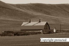 Enlarge photo 103