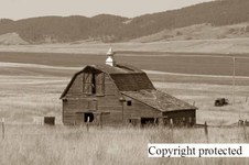 Enlarge photo 105