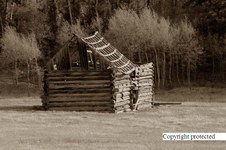 Enlarge photo 78