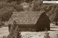Enlarge photo 81
