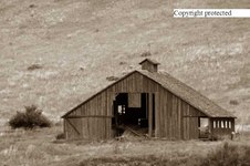 Enlarge photo 84