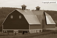 Enlarge photo 90