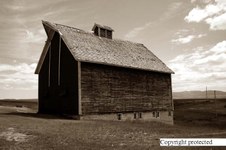 Enlarge photo 91