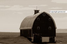 Enlarge photo 92