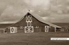 Enlarge photo 98