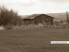 Enlarge photo 77