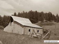 Enlarge photo 76