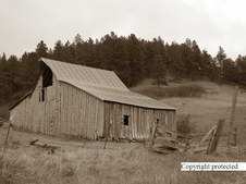 Enlarge photo 73
