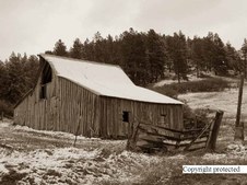 Enlarge photo 75
