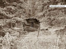 Enlarge photo 69