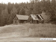 Enlarge photo 66