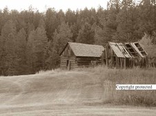Enlarge photo 67
