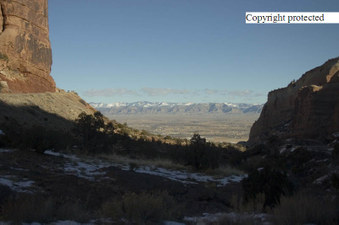 Enlarge photo 307