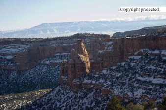 Enlarge photo 304