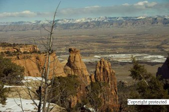 Enlarge photo 298