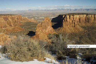 Enlarge photo 297