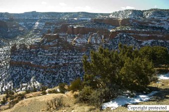 Enlarge photo 292