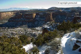 Enlarge photo 288