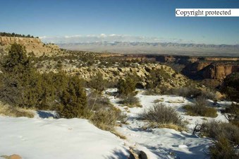 Enlarge photo 285