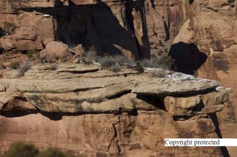 Enlarge photo 281