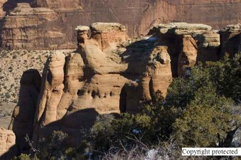 Enlarge photo 279