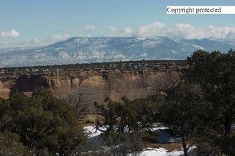Enlarge photo 274