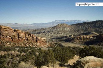 Enlarge photo 246