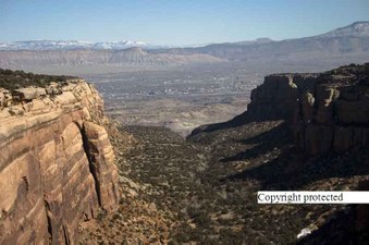 Enlarge photo 242