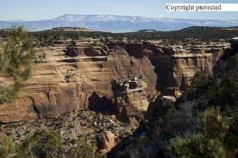 Enlarge photo 237