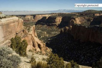 Enlarge photo 234