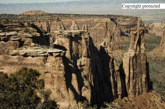 Enlarge photo 230