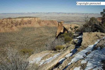 Enlarge photo 225