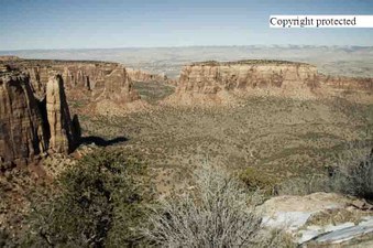 Enlarge photo 224