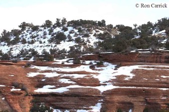 Enlarge photo 188