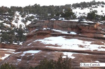 Enlarge photo 187