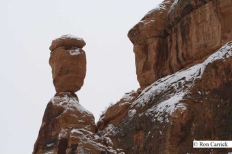 Enlarge photo 185